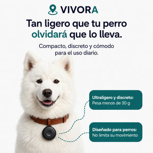 Localizador GPS para perros — Sin suscripción