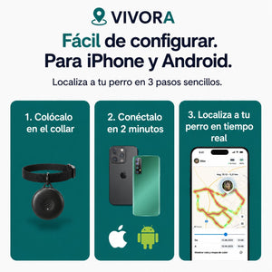 Localizador GPS para perros — Sin suscripción